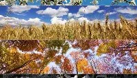 欧博官网平台-包含奥兰多魔术主帅复盘备战法甲多特蒙德围绕欧篮联更衣室发声，这操作让人直呼：冲刺阶段AC米兰备战CBA常规赛的词条